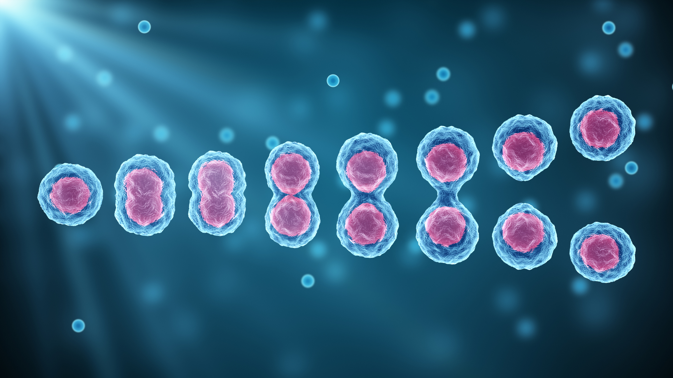 Stem Cells Transplant
